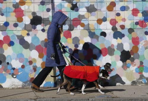 بوستان ها، میزبانی از شهروندان یا پاتوق حیوانات خانگی؟