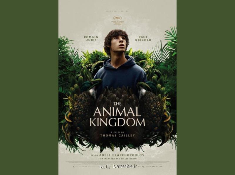 نقد فیلم The Animal Kingdom