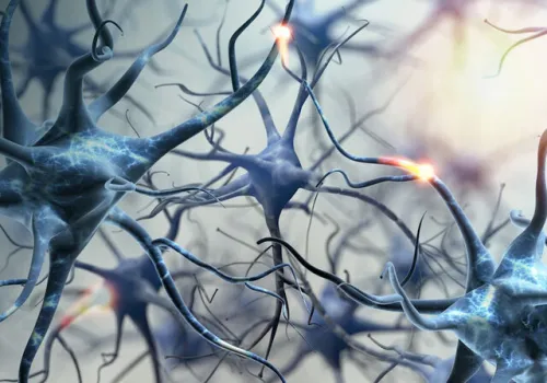 بیماری پارکینسون تولید انرژی بدن را تغییر می دهد