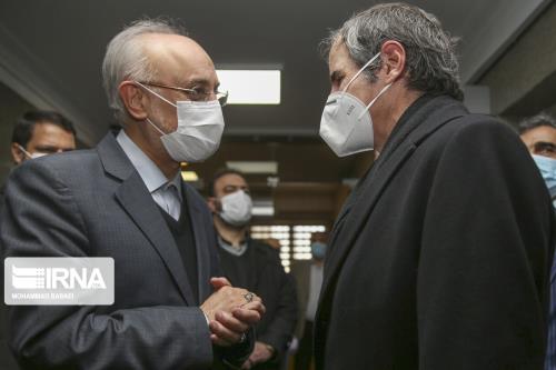 دولت عاقلانه رفتار كرد مجلس را دور نزد